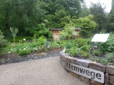 BotGarten (9).jpg